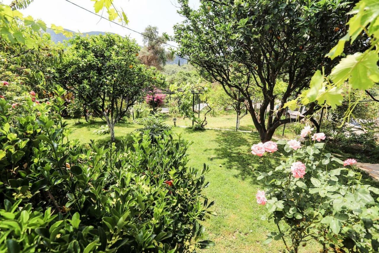 Гостевой дом Garden House Kastellani Kastellanoi  Экстерьер фото